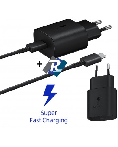 Caricabatterie EP-TA800 Super Fast Charging (25W) cavo USB Type-C Carica rapida