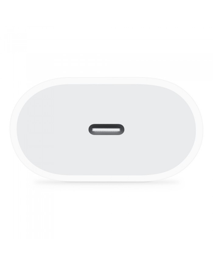 Caricabatterie RAPIDO USB-C 20W Per Apple iPhone X 11 12 13 14 Pro Max A2347