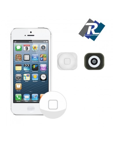 TASTO HOME PULSANTE CENTRALE TASTINO BUTTON KEY PER IPHONE 5 5 G BIANCO